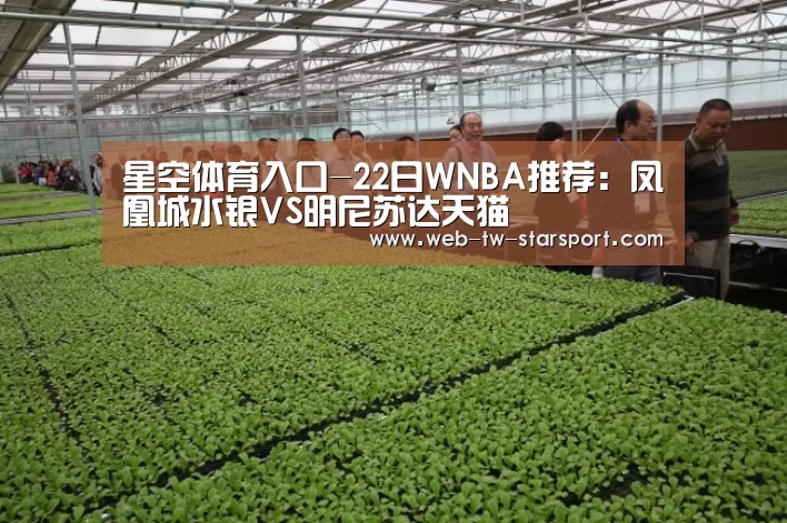 星空体育入口-22日WNBA推荐:凤凰城水银VS明尼苏达天猫(图1) 星空体育网址