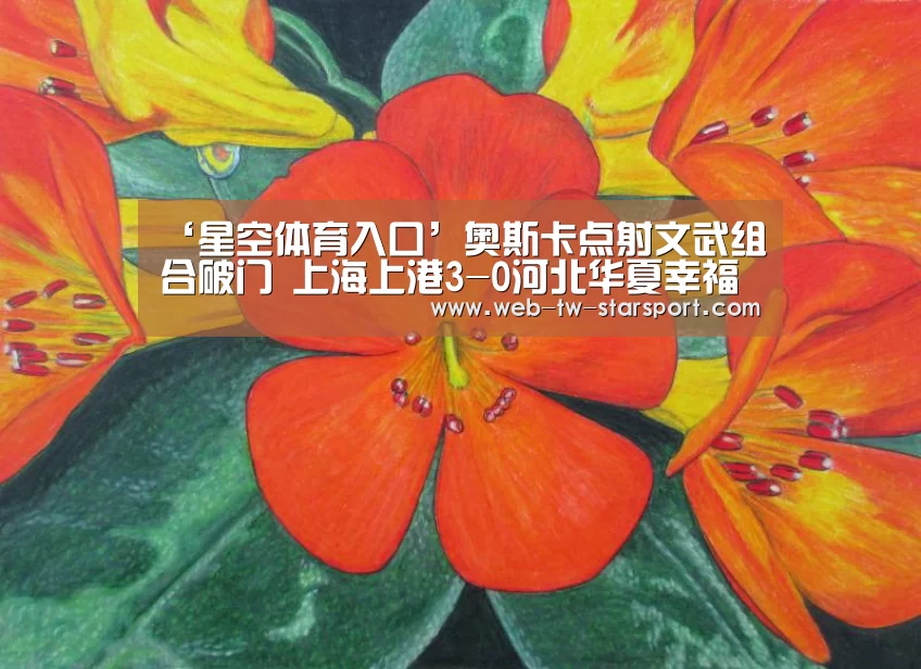 星空体育网址