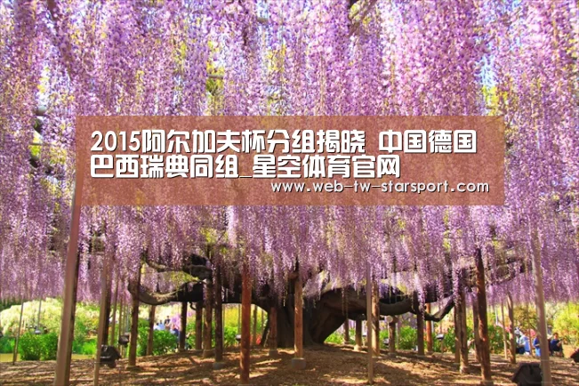 星空体育入口